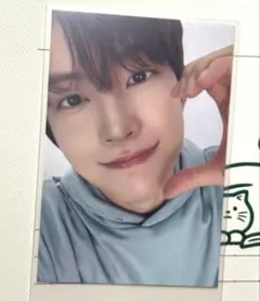 ALD1 ゴヌ bringgreen コラボ限定 トレカ