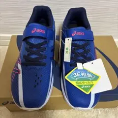 Item thumbnail for item fa884f8b-780f-4b35-ab1f-aecf24ee9638