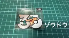 ポケモン 30周年 ピカチュウ マグネット 中国限定 30th 2点 - メルカリ