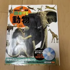 Item thumbnail for item ccc82f57-a1a0-4963-b413-63ae4e1e69d7