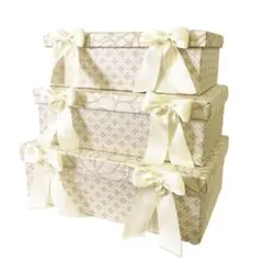 新品ジェニファーテイラー ボックス 3ヶセット Lumina