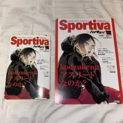 2026年最新】SPORTIVA ハイキュー ビジュアルボードの人気アイテム