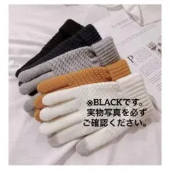 新品未使用❤️ 手袋 レディース 冬暖かい スマホ対応 ブラック ワンサイズ