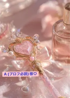 A (プロフ必読)様専用