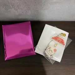 시사 のおみやげやさん トレーディング 首里城 キーホルダー 해달 先生⭐︎