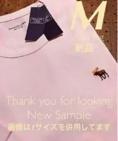 新品　アバクロ　サイズM　正規品　シグネチャーアイコンロゴ刺繍　Tシャツ