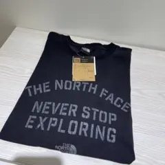 THE NORTH FACE Tシャツ NT32431R Lサイズ