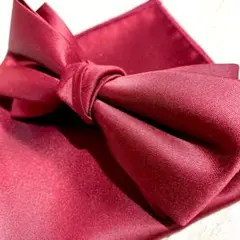 蝶ネクタイ チーフ　レッド　ボルドー　結婚式　高級感　無地　新郎　0gwo