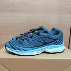 【SALOMON✨28.5cm】限定モデル XT‐6
