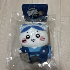 ちいかわぽけっと　ちいぽけ　江戸はちわれ　ハチワレ