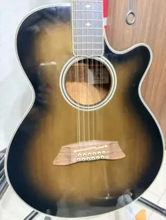 TAKAMINE PT-118 1987年製 - メルカリ