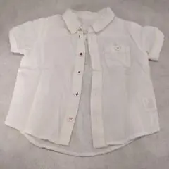 Insect Collection 昆虫ボタン 半袖シャツ 80-90