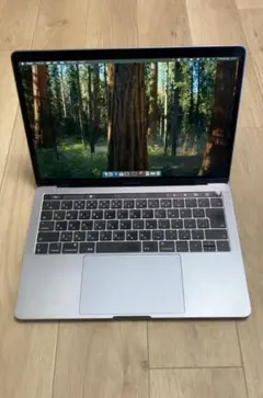 極美品* MacBook Pro 2018 13.3inch 8g 512M Amazon.com: Apple 13.3