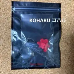HANA Born to Bloom ペンライトチャーム KOHARU コハル - メルカリ