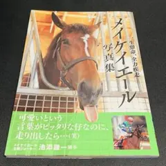 メイケイエール 写真集 一生懸命、全力疾走 競走馬 競馬 わがままお嬢様