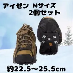 Item thumbnail for item b6e6f6cc-cdbb-4485-91e5-684e26719eaf