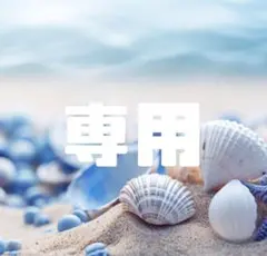 はむ✩プロフ必読お願いします✩様専用ページ