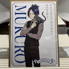 家庭教師ヒットマンREBORN! The cat A5ポストカード 六道骸①