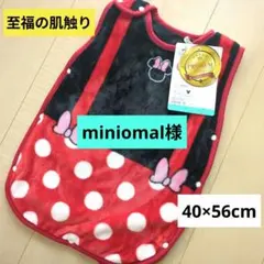 ミニーちゃん　スリーパー　40×56cm 1〜2才頃