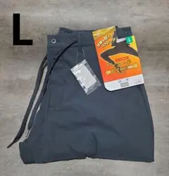 Item thumbnail for item 61c75a79-f813-415d-b5f6-5dbf3227ff75