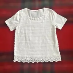 INGEBORG インゲボルグ ホワイト 綿100%半袖カットソー 9号