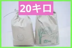 ◆栽培期間中無農薬◆令和7年収穫 ◆滋賀県産キヌヒカリ、玄米20㎏　⑥のサムネイル