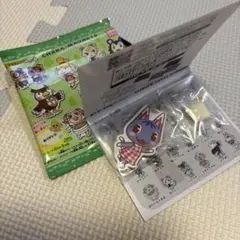 あつまれ どうぶつの森 キャラマグネッツ ブーケ 未使用のサムネイル