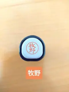 Item thumbnail for item d6dcf119-dd8d-400d-abfe-f7edf022fa8d