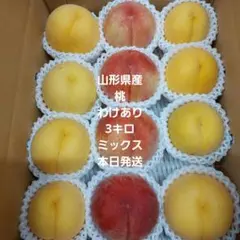 山形県産②桃　5日