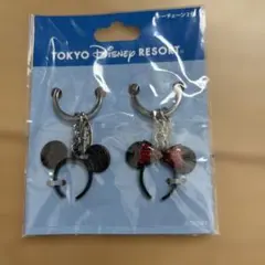 東京ディズニーリゾート ペアキーホルダー