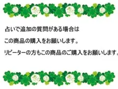 2回目鑑定用　通常占い鑑定