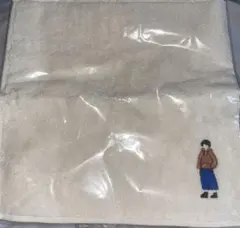 Item thumbnail for item 611756a4-ae71-471d-b635-de011effce2f