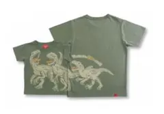 Item thumbnail for item 0b0f98f2-95cb-4d43-8a49-e99bee85f7f5