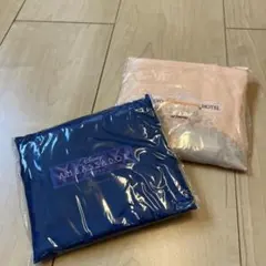 ディズニーホテル エコバッグ2個セット