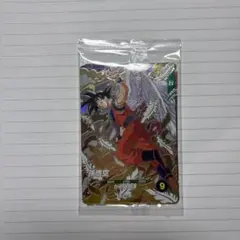 悟空 バーダック スーパードラゴンボールヒーローズカードセット