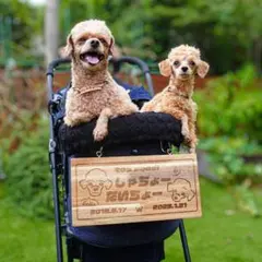 うちの子イラスト付き♡ペットカート用オリジナルネームプレート【送料無料】