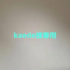 kaede様 リクエスト 2点 まとめ商品