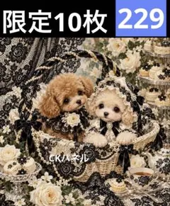 限定10枚！　犬 レアパネル生地　無くなり次第終了です