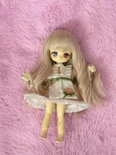 超特大！！Odontolabis kikuchii 47mm - メルカリ