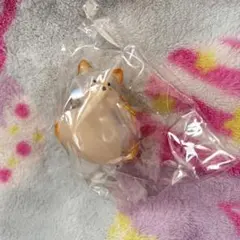 うちの子のけだまだま 柴犬 ガチャガチャ カプセルトイ