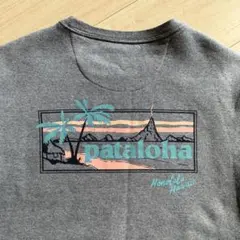 パタゴニア　パタロハ　pataloha スウェット　トレーナー　XS
