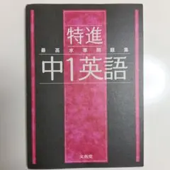 Item thumbnail for item 987772ca-f8e3-45d8-8521-abaea09b41c8