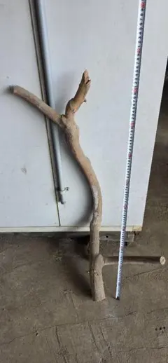 Item thumbnail for item c0cb0da2-048c-47e4-84e2-bf69a94ecb11