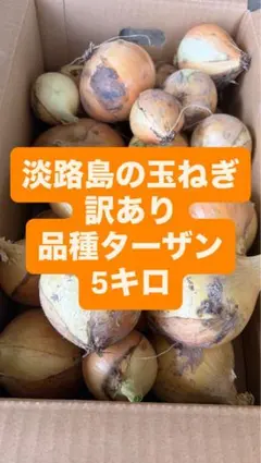 淡路島の玉ねぎ 訳あり 品種ターザン 5kgのサムネイル