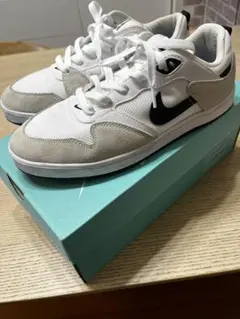 【箱付き】ナイキ　スニーカー　26センチ　NIKE SB ALLEYOOPのサムネイル