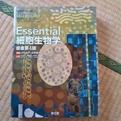 Essential 細胞生物学 原書第4版