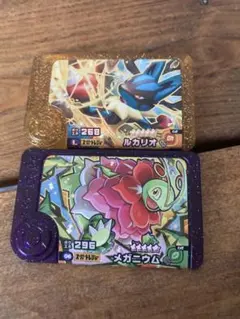 ポケモン　フレンダ　ルカリオ　メガニウム