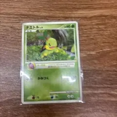 ナエトル PROMO PPPプロモーションカード 001/DP-PPP - メルカリ