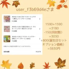 user_f3b69d4e様 リクエスト 3点 まとめ商品