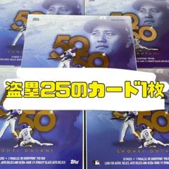 Item thumbnail for item 9f649cf0-3080-4b3b-a246-4f5b183c26a1